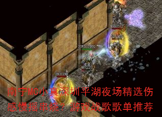 ����MCС������ƽ��ҹ����ѡ�˸���ҡ���գ���Ϸս��赥�Ƽ�