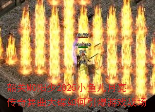 �ع�MC����2025С���������������������������Ϸս��