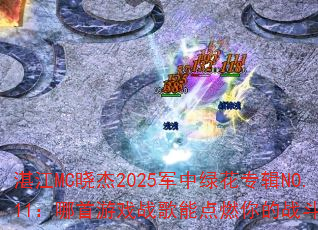 տ��MC����2025�����̻�ר��NO.11��������Ϸս���ܵ�ȼ���ս��֮�ꣿ