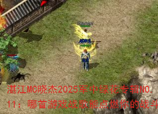 տ��MC����2025�����̻�ר��NO.11��������Ϸս���ܵ�ȼ���ս��֮�ꣿ