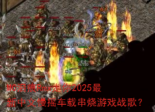 MC���Rmx����2025����������ҡ���ش�����Ϸս�裿
