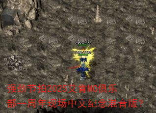 ǿ������2025����MC���ֲ�һ�����ֳ����ļ�������棿