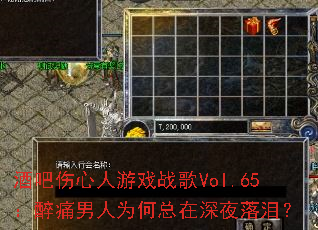 �ư���������Ϸս��Vol.65����ʹ����Ϊ��������ҹ���᣿