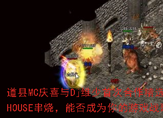 ����MC��ϲ��Djά���״κ�����ѡ����HOUSE���գ��ܷ��Ϊ�����Ϸս�裿