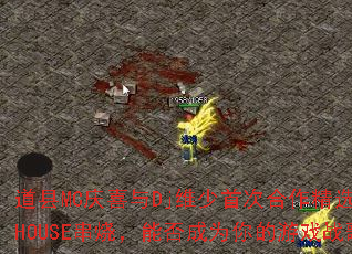 ����MC��ϲ��Djά���״κ�����ѡ����HOUSE���գ��ܷ��Ϊ�����Ϸս�裿