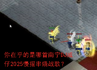 ���ں�������������DJ����2025��ҡ����ս�裿