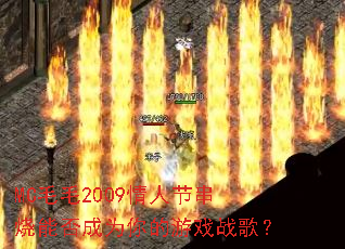 MCëë2009���˽ڴ����ܷ��Ϊ�����Ϸս�裿