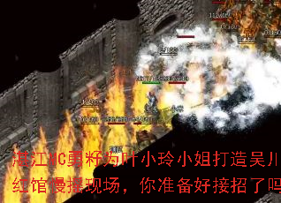 տ��MC����ΪҶС��С������⴨�����ҡ�ֳ�����׼���ý�������