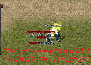 ��ݸMC��Aҹ��ȫӢ��House����2025�������յ�18�����ܷ��Ϊ�����Ϸս�裿