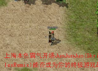 �Ϻ���ɫ��������JunJunJun(SkrillexRemix)�ܷ��Ϊ����ռ���Ϸս�裿
