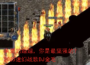 �װ��Ľ�㣬�������ǿ�ģ�2025�Ի�ս��DJ��ë