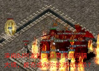 滦南DJ阿龙打造冰雪甩葱摇摆大碟,能否成为你的游戏战歌? 滦南DJ阿龙打造冰雪甩葱摇摆大碟,能否成为你的游戏战歌?