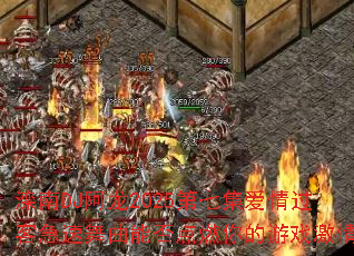 滦南DJ阿龙2025第七集爱情过客急速舞曲能否点燃你的游戏激情 滦南DJ阿龙2025第七集爱情过客急速舞曲能否点燃你的游戏激情