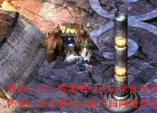 ˳���ִ�ɫ��ư�12����¼���ֳ�����Dj������Ϸս����������ʹ�