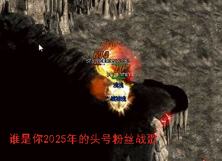 ˭����2025���ͷ�ŷ�˿ս��