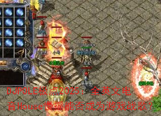 DJPOLE����2025��ȫӢ�ĵ���House��ҡ�ܷ��Ϊ��Ϸս�裿
