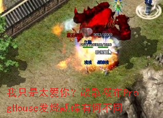 ��ֻ��̫���㣿ս���㲼ProgHouse���������кβ�ͬ
