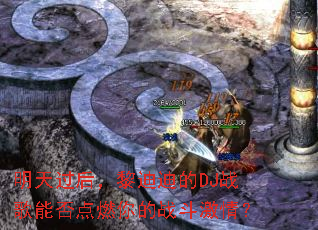 ���������ϵϵ�DJս���ܷ��ȼ���ս�����飿