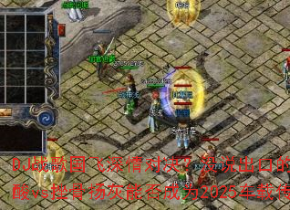 DJս���������Ծ���û˵���ڵ��ֺ�ֹ������vs�������ܷ��Ϊ2025���ش��棿