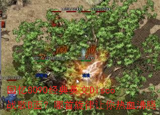 ����8090����Ӣ��Discoս��B�棿��������������Ѫ����