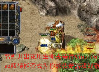 ��𿪳���������ȥ�ȴ�VinaHouse�����ܷ��Ϊ��Ĵ�����Ϸս�裿