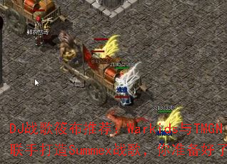 DJս���㲼�Ƽ���Warkids��TMGN���ִ���Summexս�裬��׼��������