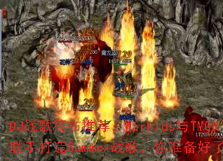 DJս���㲼�Ƽ���Warkids��TMGN���ִ���Summexս�裬��׼��������