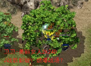 ����-����Ů��2k24DJս���°棺ȼ��ս����