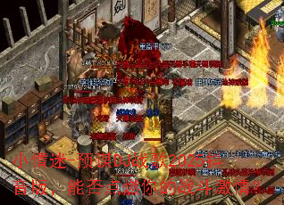 С����-ԤıDJս��2025�����棬�ܷ��ȼ���ս�����飿