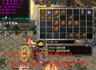 DJս��ά��2025��ѩ�ɶԣ����������ܷ�������Ϸ���棿