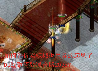 �������������Ҳ��ȯ�������DJս�谢�ǻ�����2025��