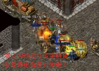 տ��DJϸ�����챦����ȫ��������ɶԴ��棿