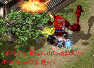 �����Ҳ��˵��ɽDJս�谢��ProHouse��ϲ�ͺã�