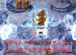 ���ڴ��Ĳ���ѩ��DJս��С��ElectroMix����Ů���洫����Ϸս��