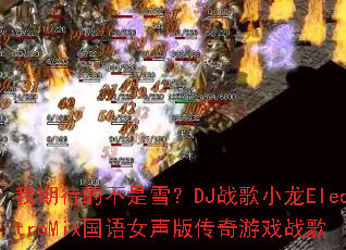 ���ڴ��Ĳ���ѩ��DJս��С��ElectroMix����Ů���洫����Ϸս��