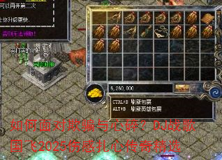 ��������ƭ�����飿DJս�����2025�˸����Ĵ��澫ѡ