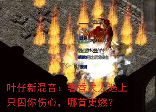 Ҷ���»����������������ֻ�������ģ����׸�ȼ��