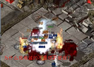 Ϊʲô���ѹ��Ĳ����㲻���ң�