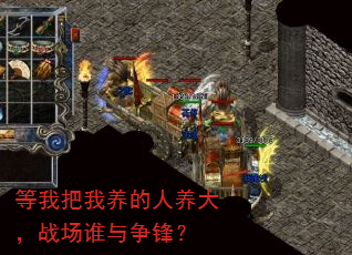 ���Ұ�������������ս��˭�����棿