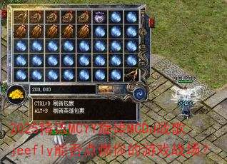 2025��ѡMCYY����MCDJս��jeefly�ܷ��ȼ�����Ϸս����