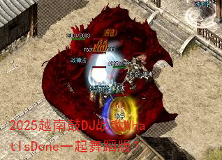 2025Խ�Ϲ�DJս��WhatIsDoneһ���赸�棿