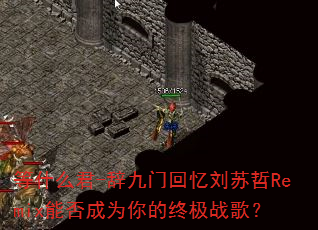 ��ʲô��-�Ǿ��Ż���������Remix�ܷ��Ϊ����ռ�ս�裿