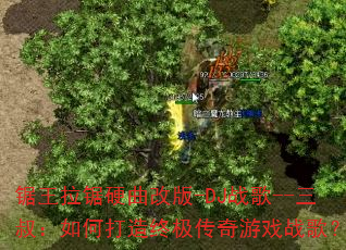 ��������Ӳ���İ�-DJս��--���壺��δ����ռ�������Ϸս�裿