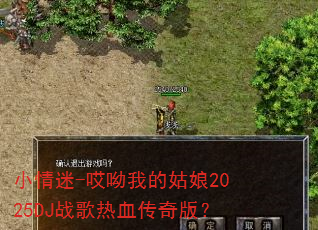 С����-�����ҵĹ���2025DJս����Ѫ����棿