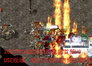 2025��DJս�谢�������ײ�HOUSE�ֳ����ܷ��ȼ�����Ϸ���飿