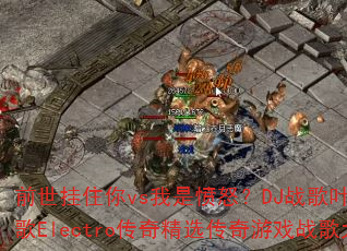 ǰ����ס��vs���Ƿ�ŭ��DJս��Ҷ��ȫ��ѩս��Electro���澫ѡ������Ϸս���Ծ�