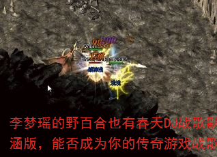 ��������Ұ�ٺ�Ҳ�д���DJս��Ĭ���棬�ܷ��Ϊ��Ĵ�����Ϸս�裿