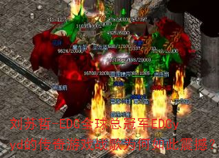 ������-EDGȫ���ܹھ�EDGyyd�Ĵ�����Ϸս��Ϊ������𺳣�