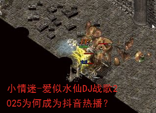 С����-����ˮ��DJս��2025Ϊ�γ�Ϊ�����Ȳ���