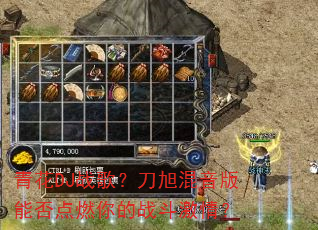 �໨DJս�裿����������ܷ��ȼ���ս�����飿